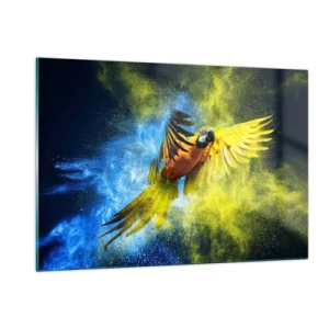 Obraz na szkle - Kolorowa papuga w locie na tle żółto-niebieskim - 120x80cm - W błękitno-złotym pyle - Nowoczesna dekoracja ścienna do salonu, kuchni i sypialni ARTTOR