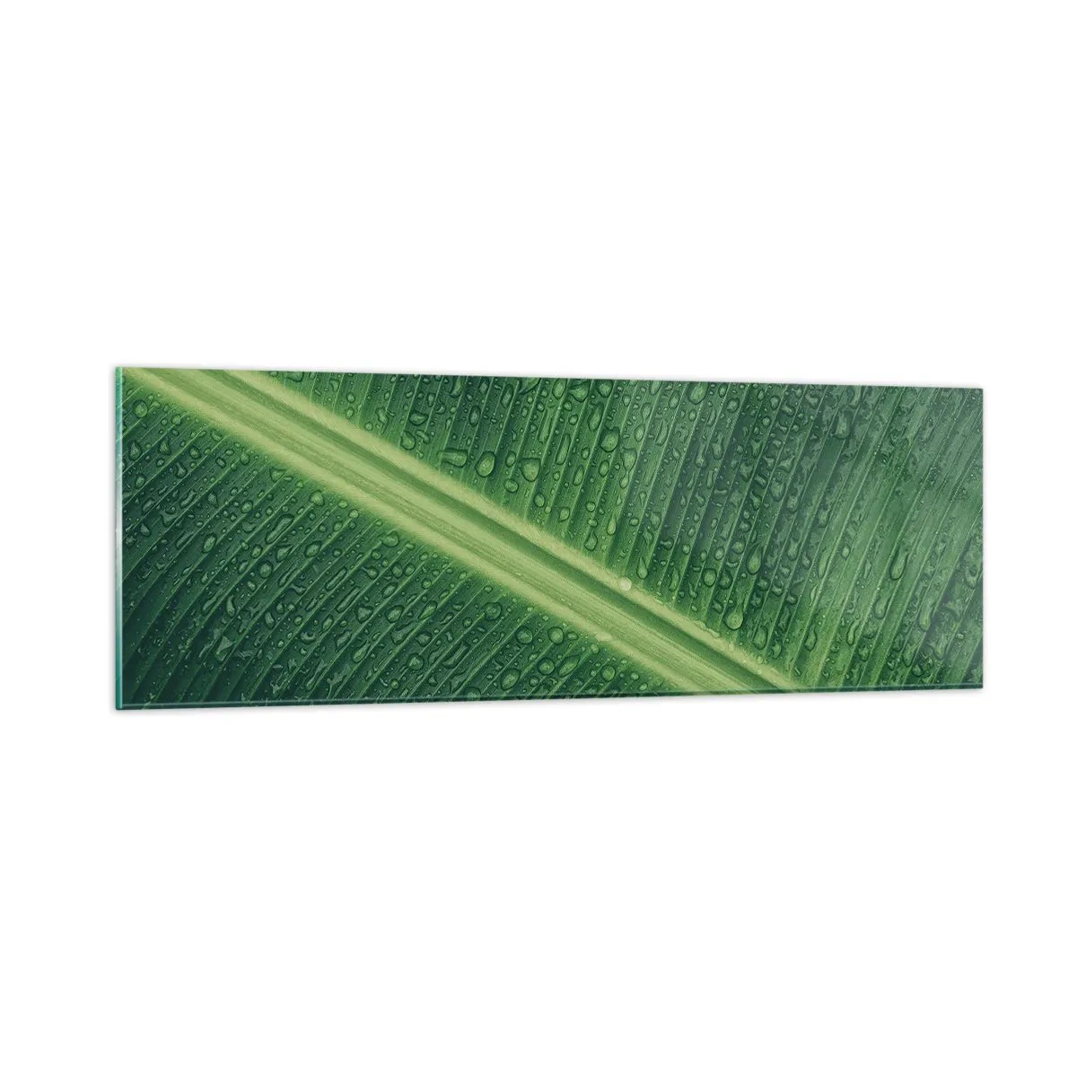 Obraz na szkle - Struktura zieleni - 90x30 cm