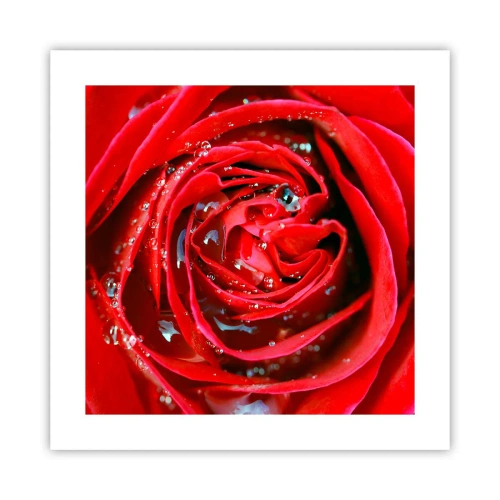 Plakat - W kroplach rosy - 40x40 cm