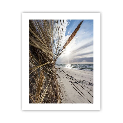 Plakat - Spotkanie żywiołów - 40x50 cm