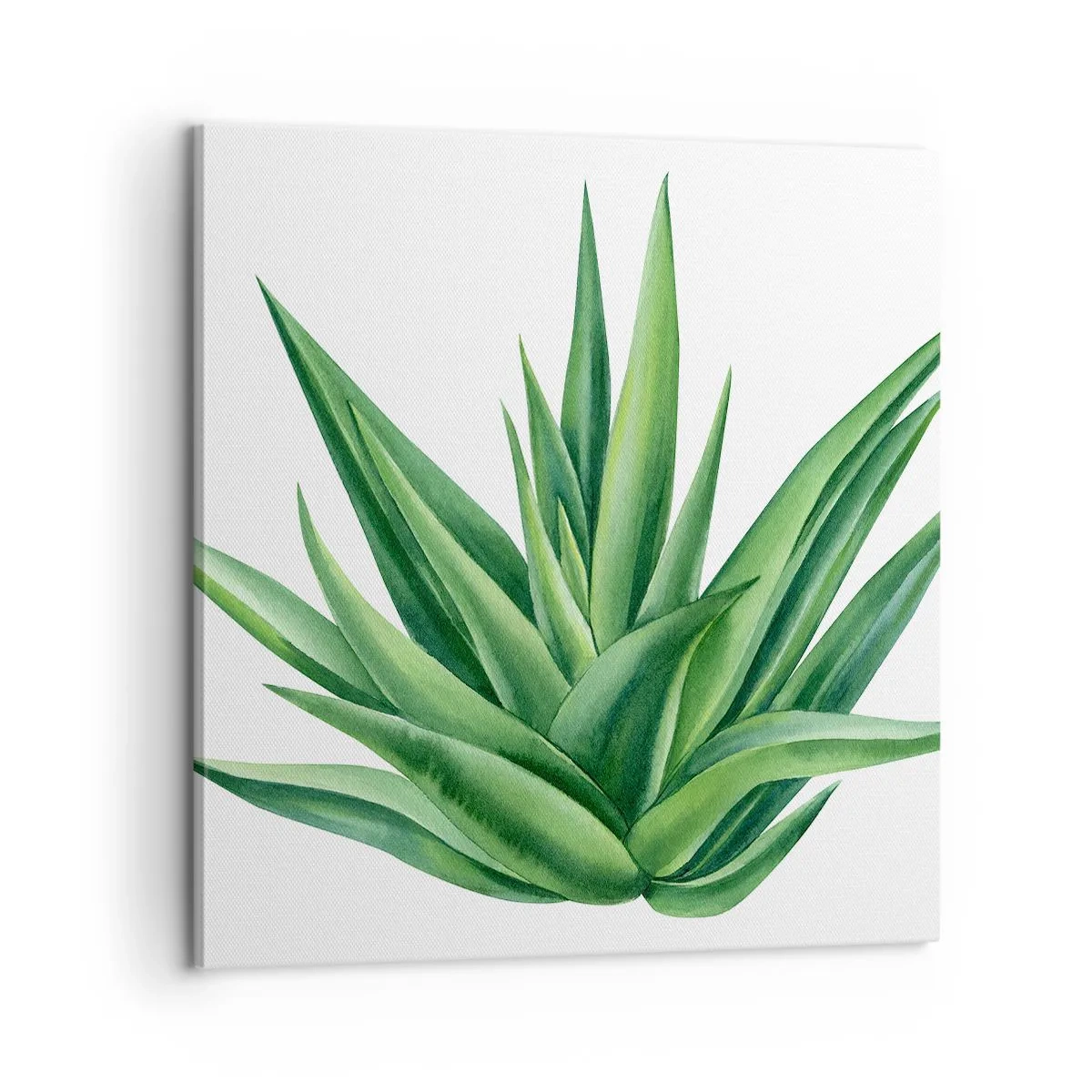 Obraz na płótnie - Zieleń – siła – życie - 60x60 cm