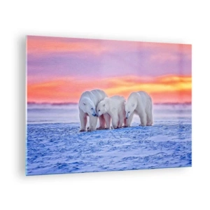 Obraz na szkle - Trzy niedźwiedzie polarne na śnieżnym tle o zachodzie słońca - 70x50cm - Wystarczy rodzinne ciepło - Nowoczesna dekoracja ścienna do salonu i sypialni ARTTOR