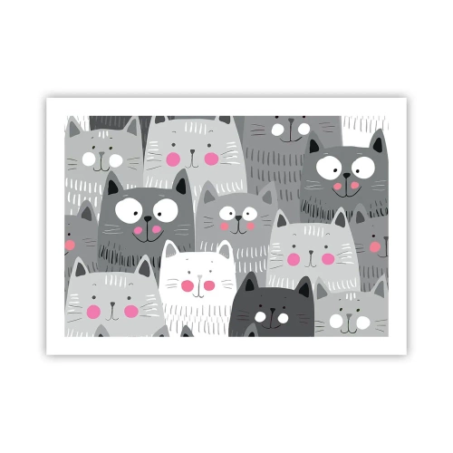 Plakat - Koci świat - 70x50 cm