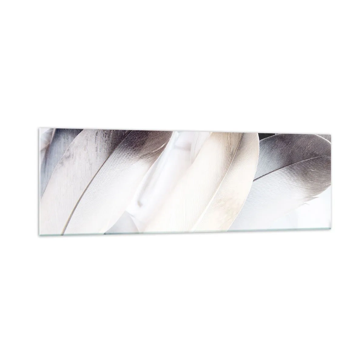 Obraz na szkle - Zbliżenie na delikatne pióra w odcieniach bieli i szarości - 160x50cm - Niemal anielskie - Nowoczesna dekoracja ścienna do salonu i sypialni ARTTOR