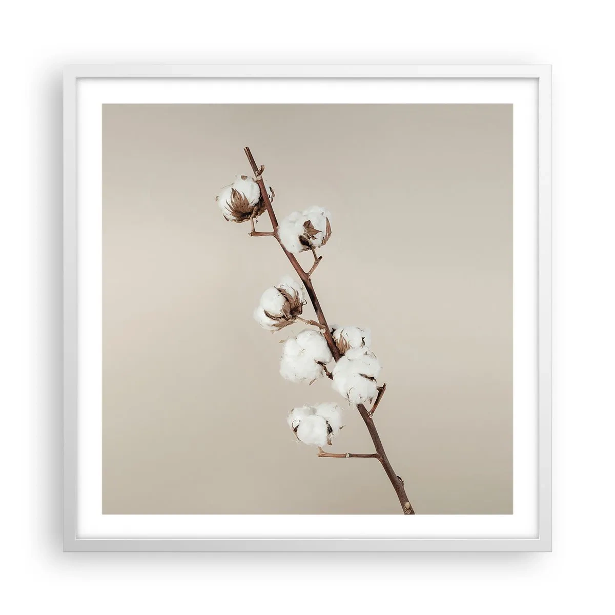 Plakat w białej ramie - U źródła miękkości - 60x60 cm