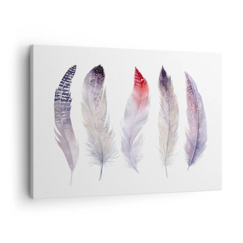 Obraz na płótnie - Pięć delikatnych piór w pastelowych odcieniach na jasnym tle - 70x50cm - Delikatne jak różnobarwna mgła - Nowoczesna dekoracja ścienna do salonu i sypialni ARTTOR