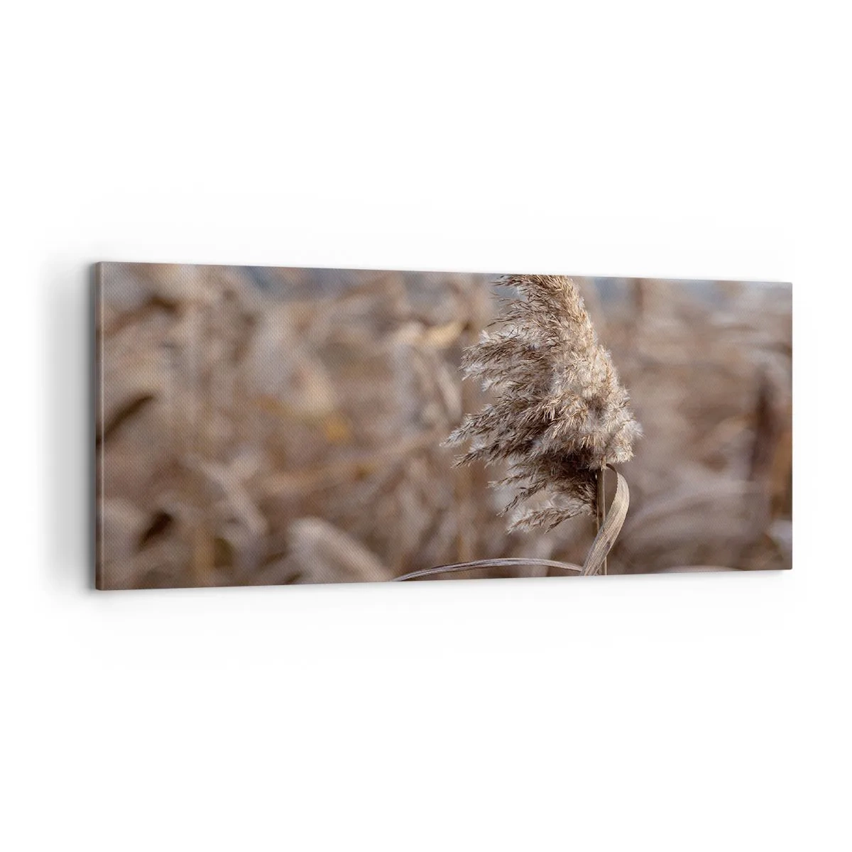 Obraz na płótnie - Czas odlecieć z wiatrem - 100x40 cm