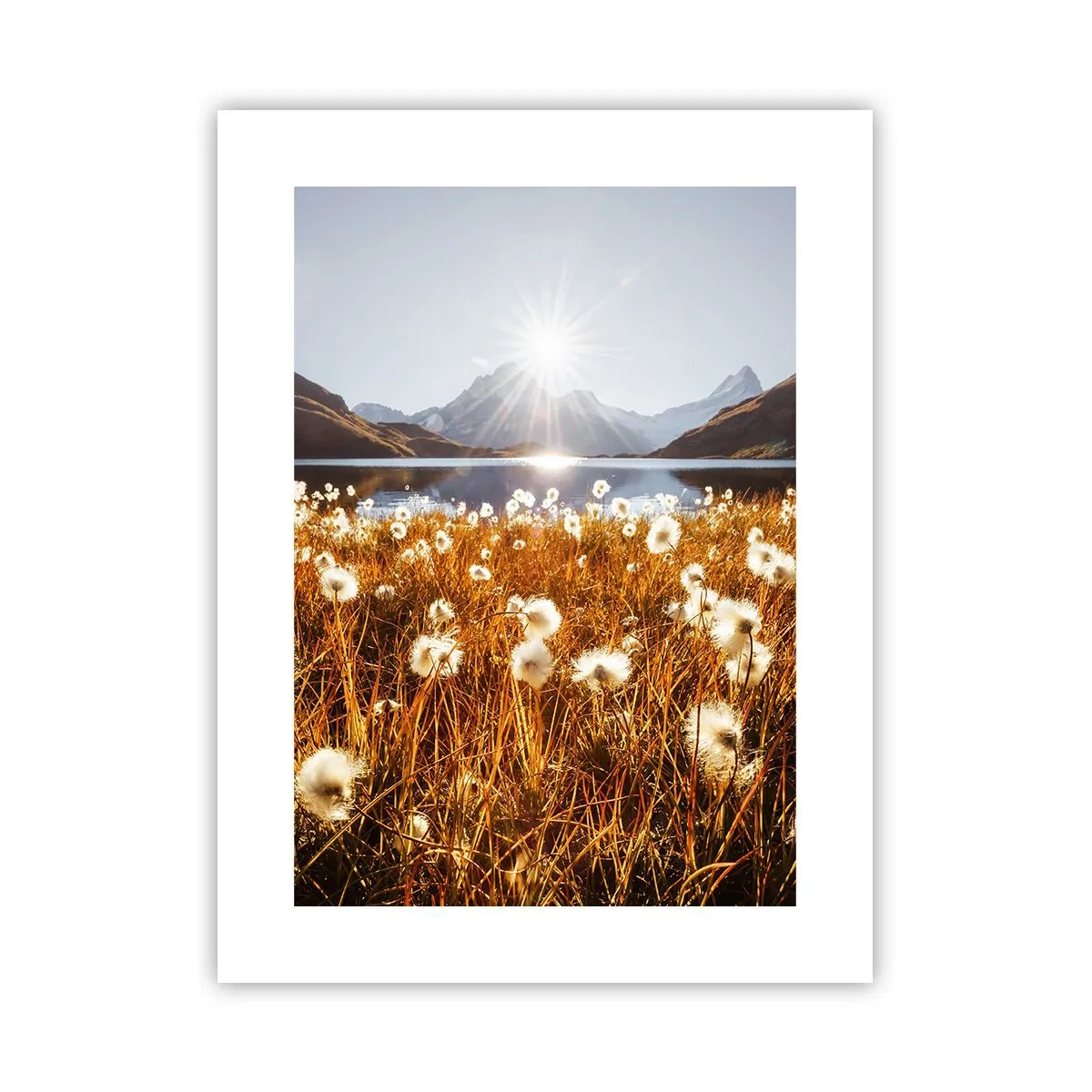 Plakat - Twardość skał, miękkość traw - 30x40 cm