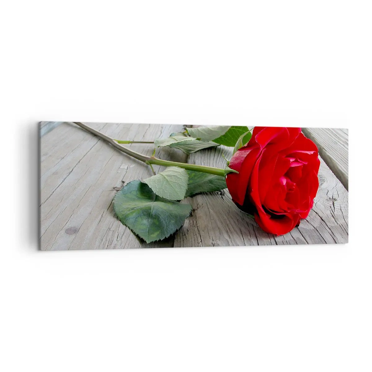 Obraz na płótnie - Czerwona róża na drewnianym tle - 140x50cm - Studium w szkarłacie - Nowoczesna dekoracja ścienna do salonu i sypialni ARTTOR