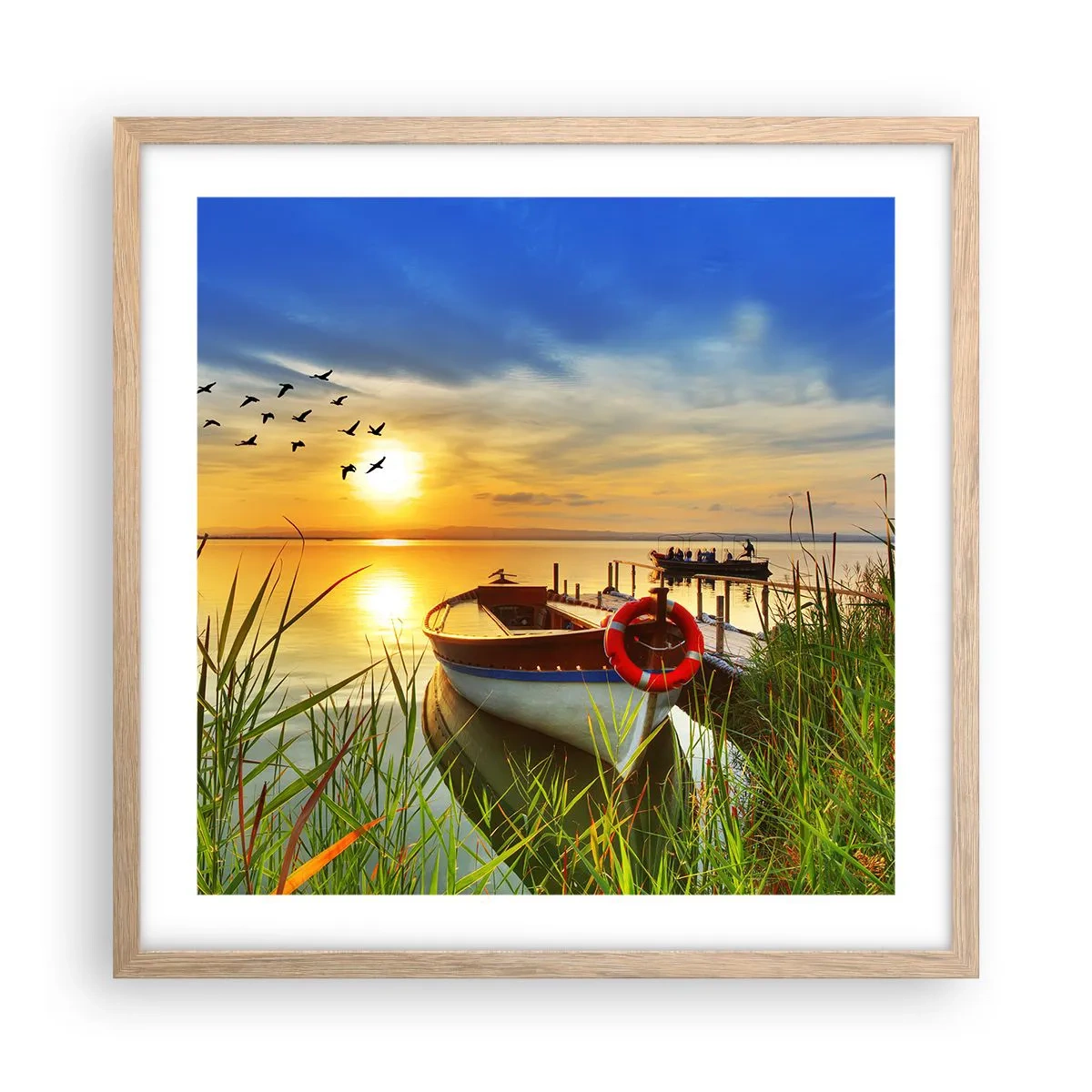 Plakat w ramie jasny dąb - Kormorany odlatują już - 50x50 cm