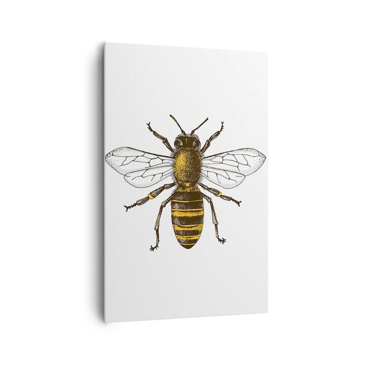 Obraz na płótnie - Szczegółowa ilustracja pszczoły na białym tle - 80x120cm - Piękna i dobra - Nowoczesna dekoracja ścienna do salonu i sypialni ARTTOR