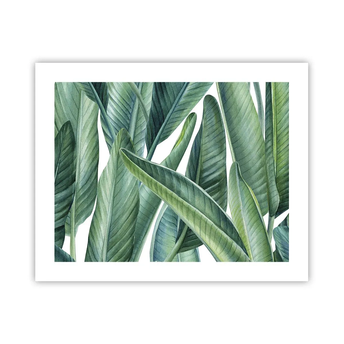 Plakat - Zieleń sama w sobie - 50x40 cm