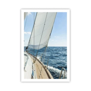 Plakat - Ahoj, przygodo - 61x91 cm