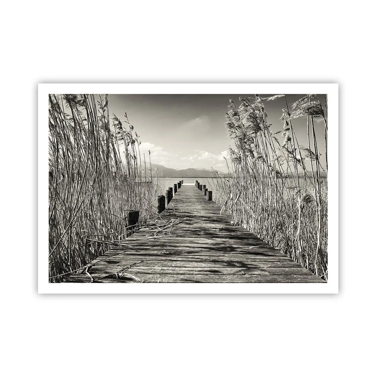 Plakat - Drewniany pomost wśród wysokich traw nad jeziorem w odcieniach sepia - 100x70cm - W zaciszu traw - Nowoczesna dekoracja ścienna do salonu i sypialni ARTTOR