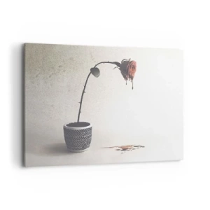 Obraz na płótnie - Czerwona róża w doniczce z kroplami barwnika na białym tle - 100x70cm - Rosa dolorosa - Nowoczesna dekoracja ścienna do salonu, kuchni i sypialni ARTTOR