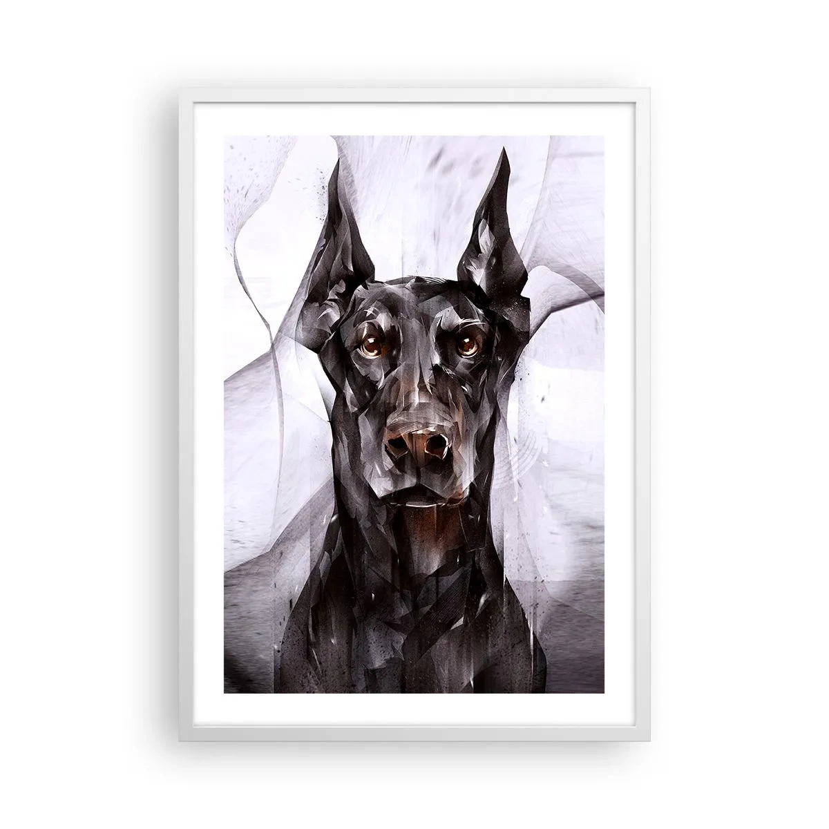 Plakat w białej ramie - Szlachetnie urodzony - 50x70 cm