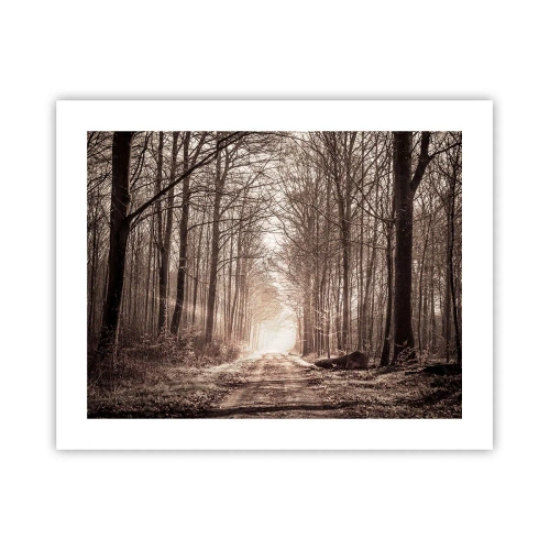 Plakat - Leśna katedra - 50x40 cm