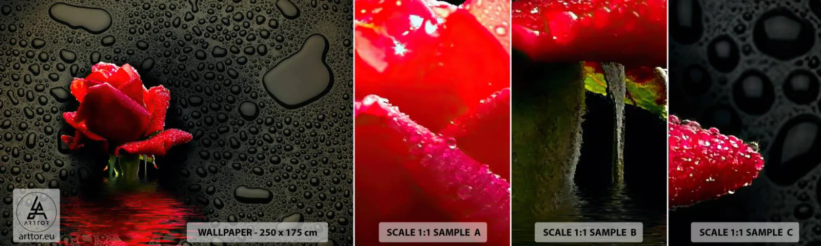 Fototapeta Próbka Standard Eco - Czerwone i czarne - Kwiaty, Róża, Woda - 100x30 cm