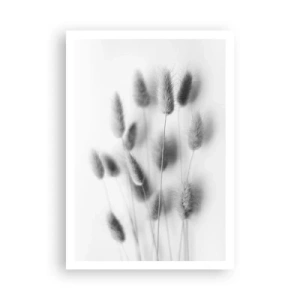 Plakat - Jej puszystość trawa - 70x100 cm