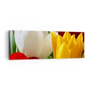 Obraz na płótnie - Tulipanowa gorączka - 90x30 cm