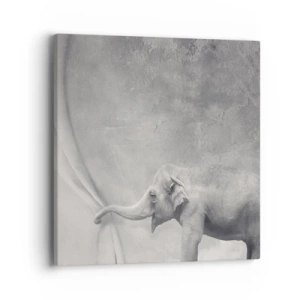 Obraz na płótnie - Odsłonić tajemnicę - 40x40 cm