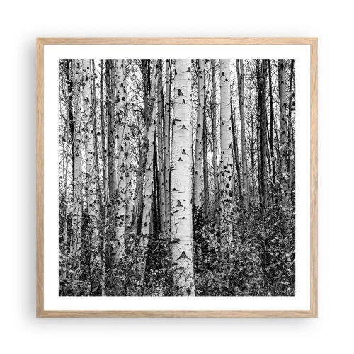 Plakat w ramie jasny dąb - Brzozowa kolumnada - 60x60 cm