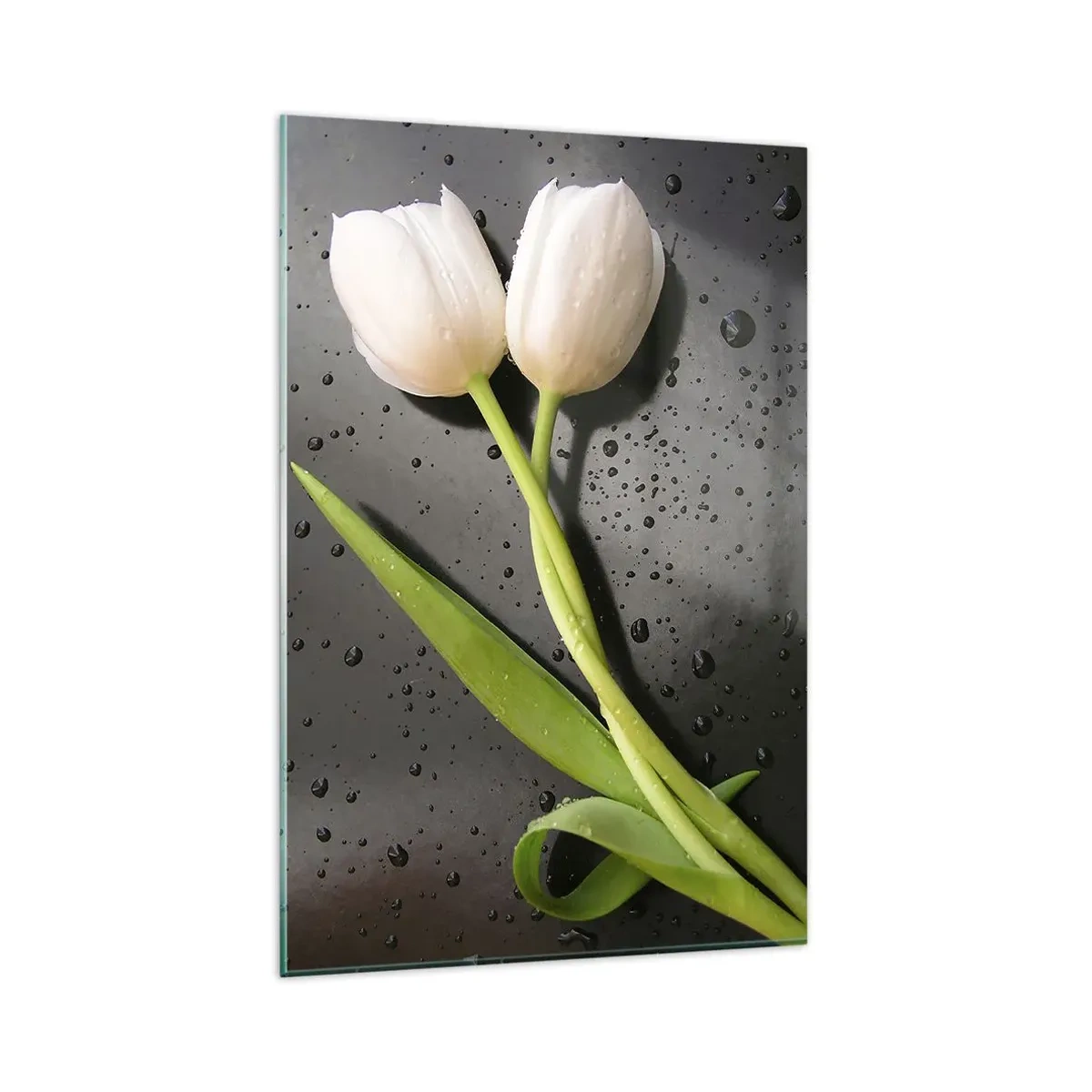 Obraz na szkle - Białe tulipany na tle czarnym z kroplami wody - 80x120cm - Wiosenny splot - Nowoczesna dekoracja ścienna do salonu i sypialni ARTTOR