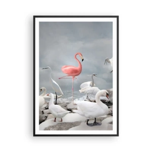 Plakat w czarnej ramie - Skąd się tu wziąłem? - 70x100 cm