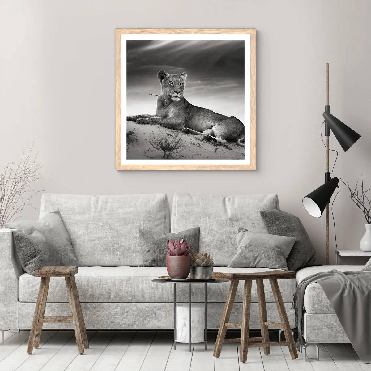 Plakat w ramie jasny dąb - Odpoczynek królowej pustyni - 40x40 cm