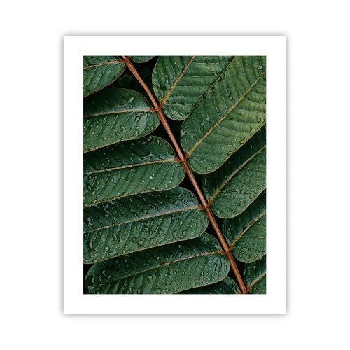 Plakat - W zielonym rytmie - 40x50 cm