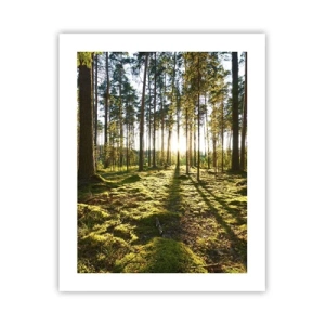 Plakat - …Za siedmioma lasami - 40x50 cm