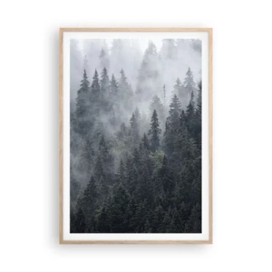 Plakat w ramie jasny dąb - Leśny świt - 70x100 cm