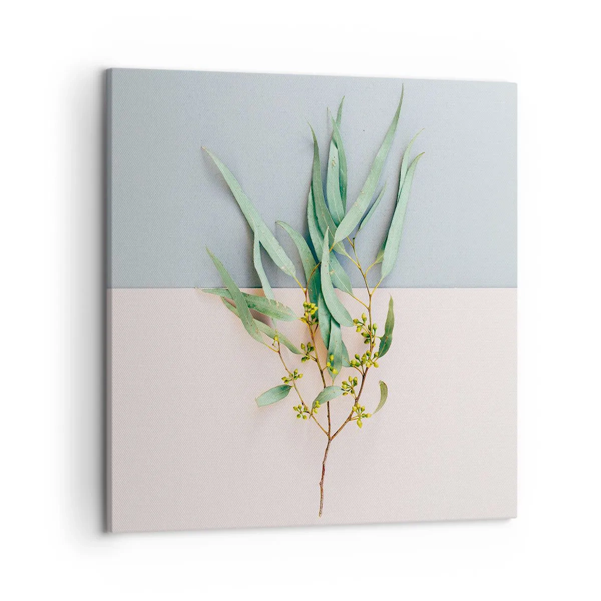 Obraz na płótnie - Pastelowa subtelność - 50x50 cm