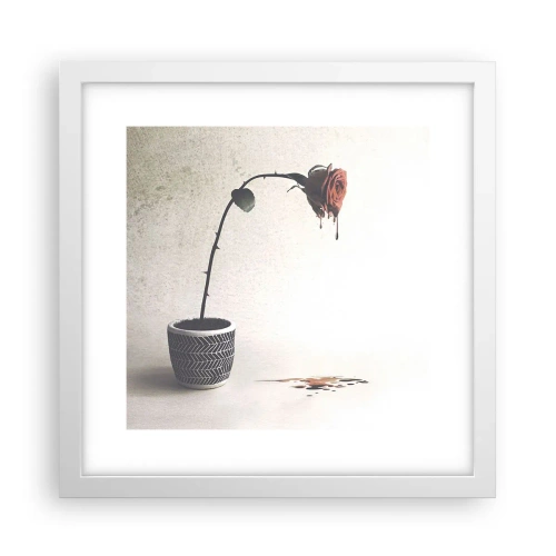 Plakat w białej ramie - Rosa dolorosa - 30x30 cm