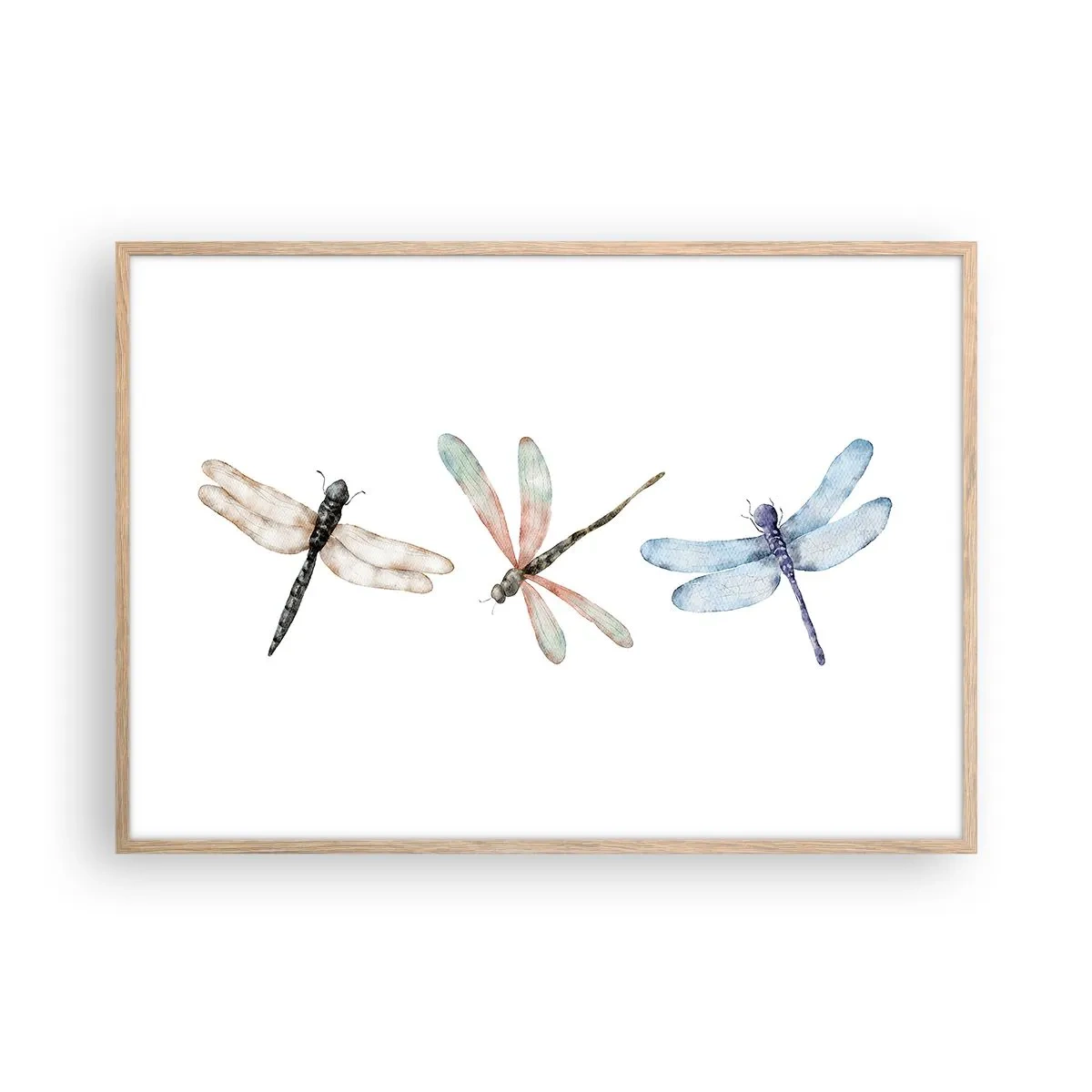 Plakat w ramie jasny dąb - Ważki nieważkie - 100x70 cm