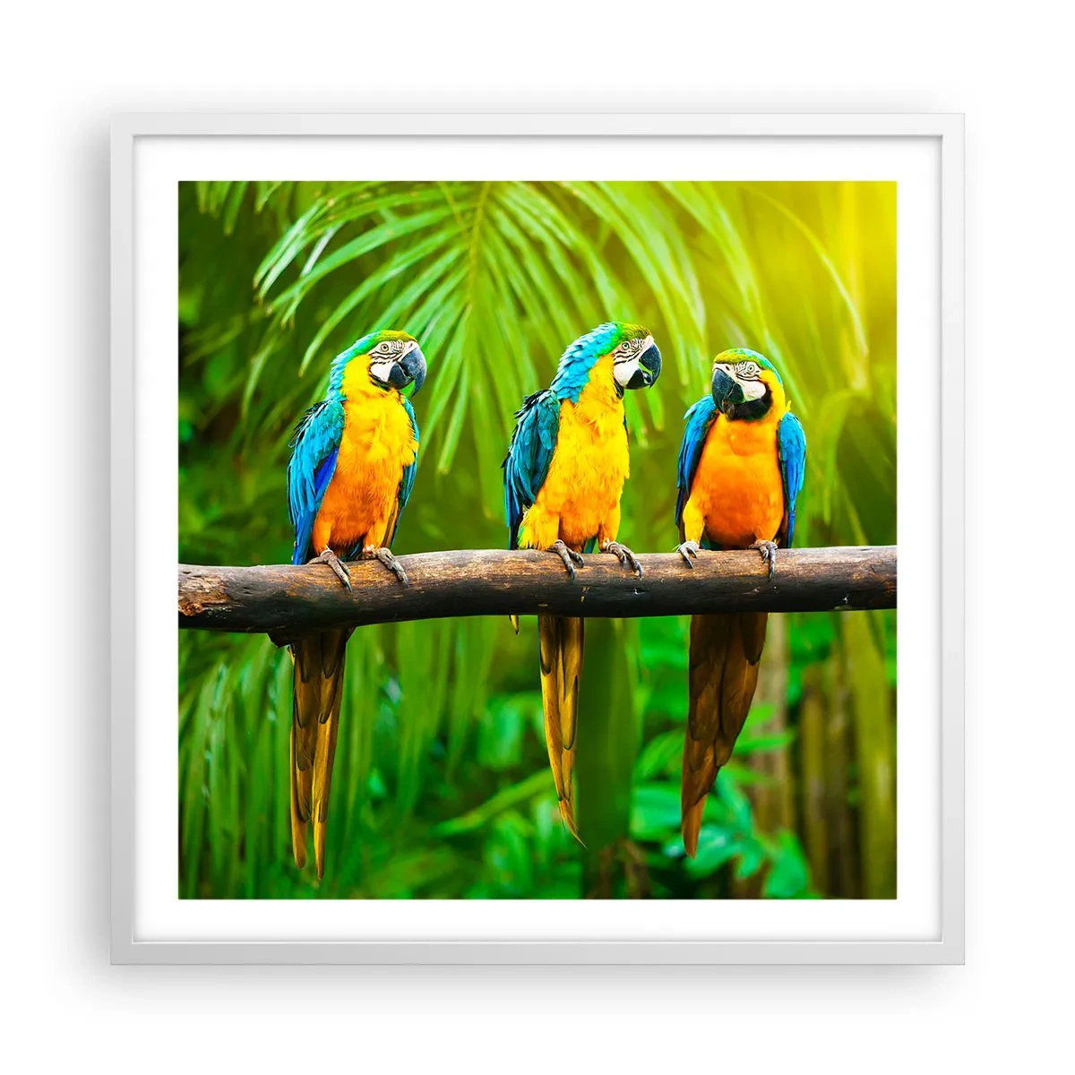 Plakat w białej ramie - A słyszałaś, że ona…? - 60x60 cm