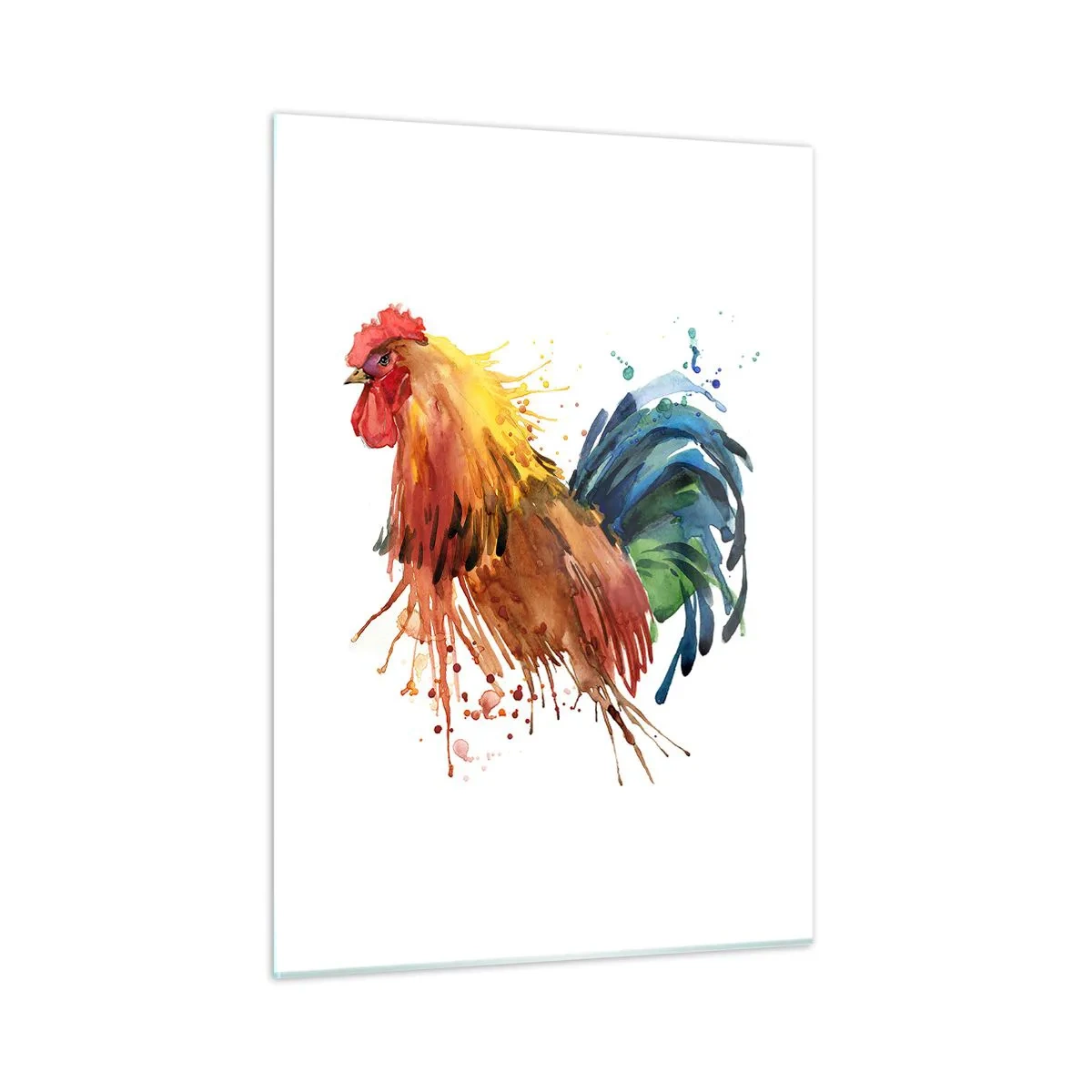 Obraz na szkle - Akwarelowy kogut w żywych kolorach na białym tle - 50x70cm - Królewska szata, królewska duma - Nowoczesna dekoracja ścienna do salonu, kuchni i sypialni ARTTOR