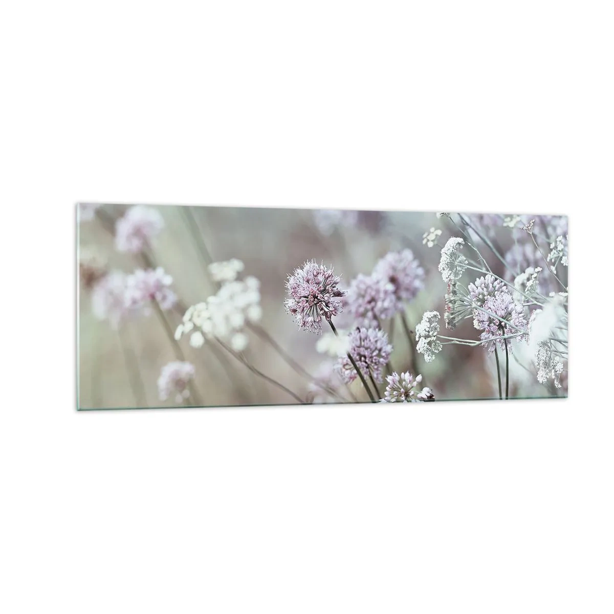 Obraz na szkle - Delikatne kwiaty w pastelowych odcieniach - 140x50cm - Słodkie filigrany ziół - Nowoczesna dekoracja ścienna do salonu i sypialni ARTTOR