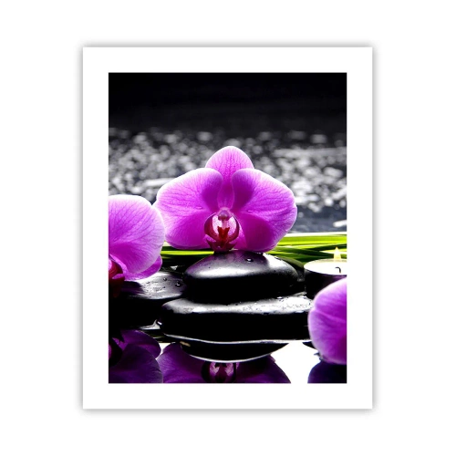 Plakat - Utonąć w ciszy i spokoju - 40x50 cm