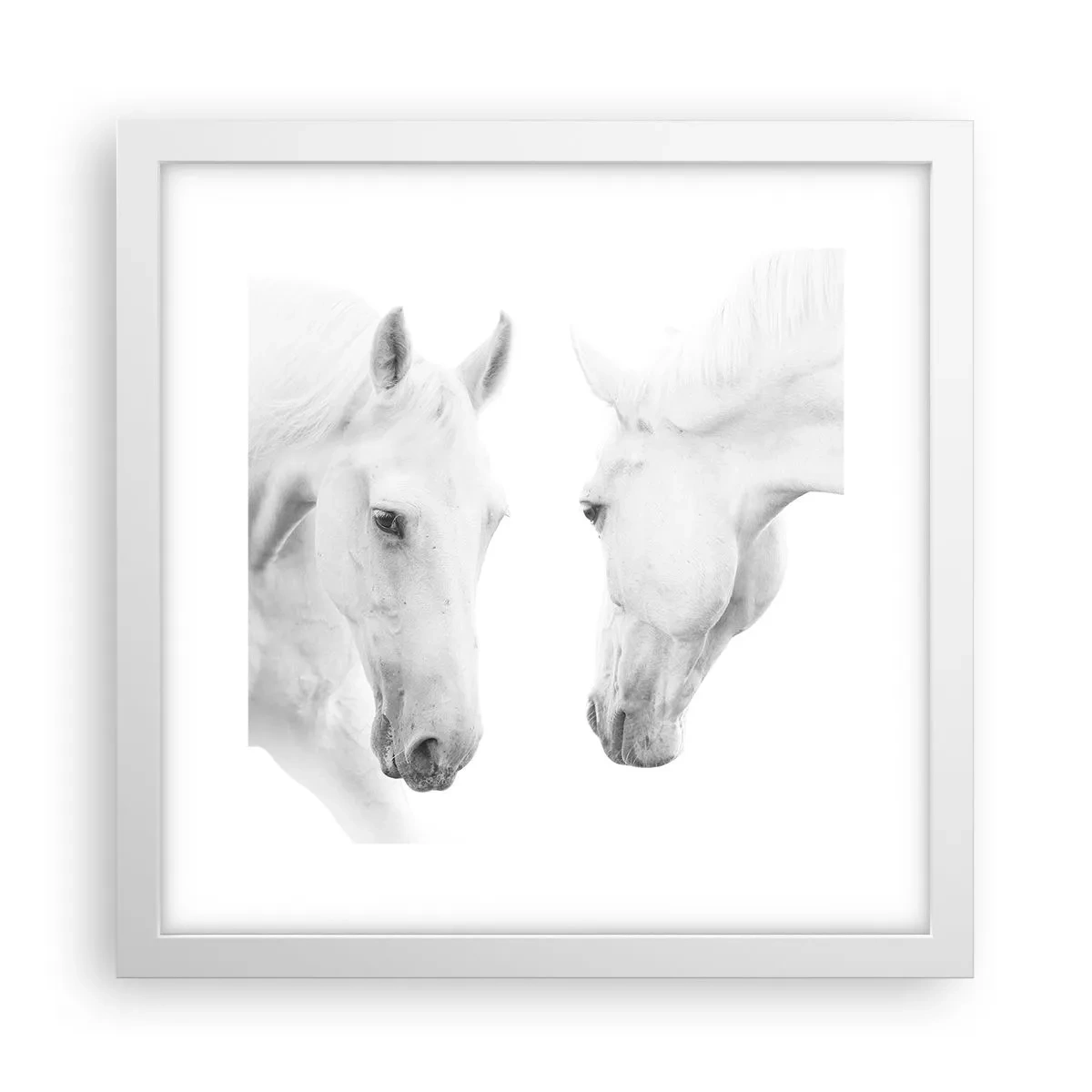 Plakat w białej ramie - Czy to jest przyjaźń…? - 30x30 cm