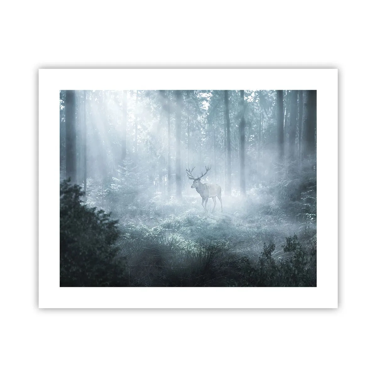 Plakat - Poranny obchód włości - 50x40 cm