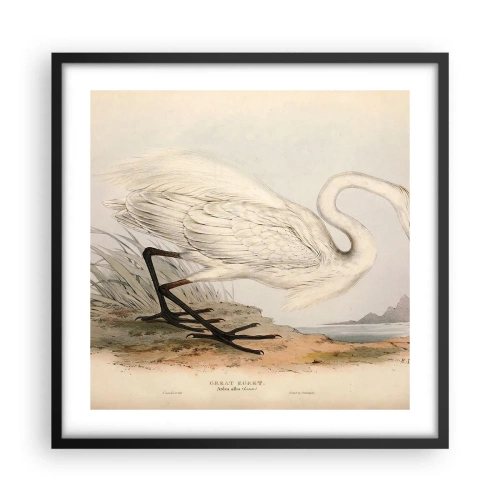 Plakat w czarnej ramie - Pani na szuwarach - 50x50 cm