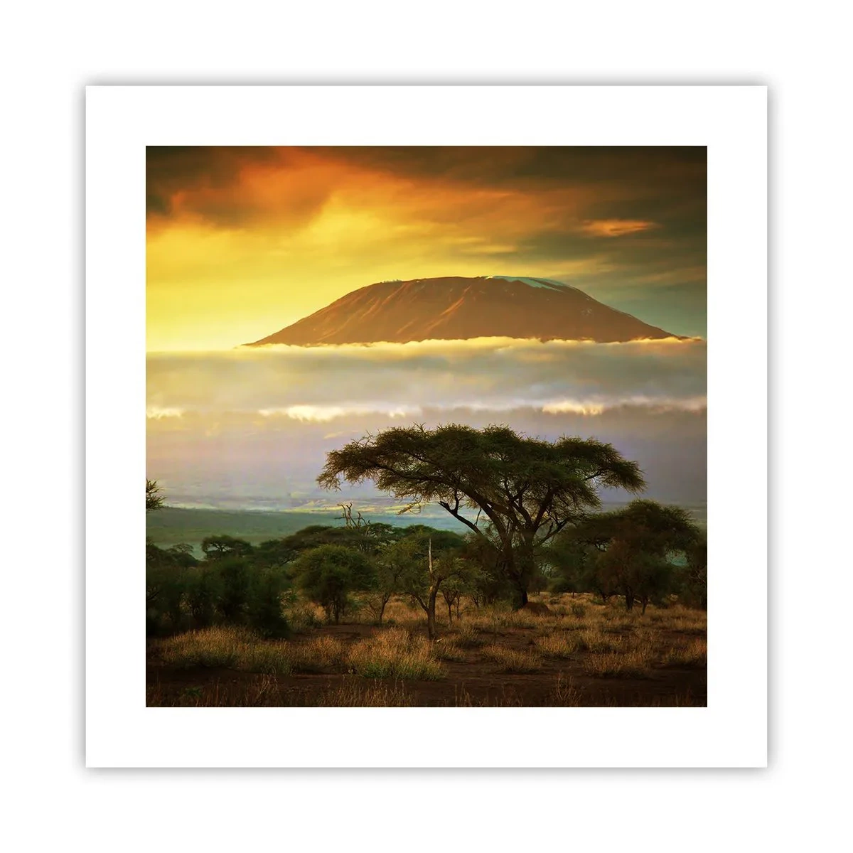 Plakat - Sen podróżnika - 40x40 cm