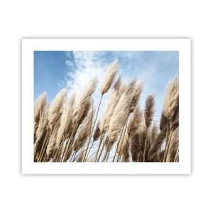 Plakat - Słoneczna i wietrzna pieszczota - 50x40 cm