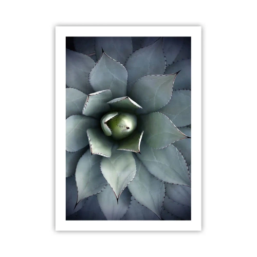 Plakat - Zbliżenie na symetryczne liście sukulenta w odcieniach zieleni - 50x70cm - Wabi i przestrzega - Nowoczesna dekoracja ścienna do salonu, kuchni i sypialni ARTTOR