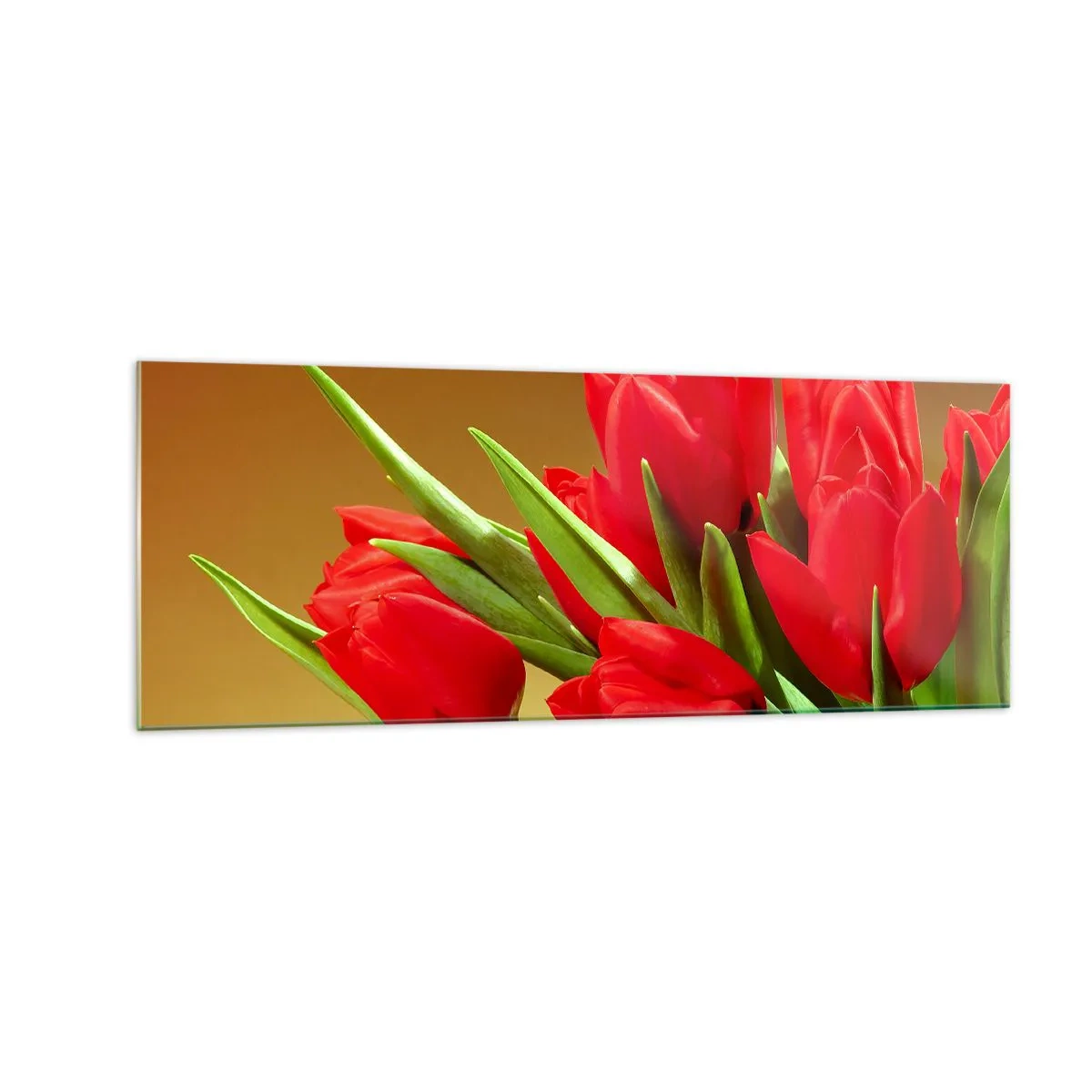 Obraz na szkle - Bukiet czerwonych tulipanów na złotym tle z zielonymi liśćmi - 140x50cm - Pęk wiosennej radości - Nowoczesna dekoracja ścienna do salonu i sypialni ARTTOR
