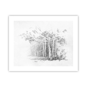 Plakat - Światło brzozowego lasu - 50x40 cm