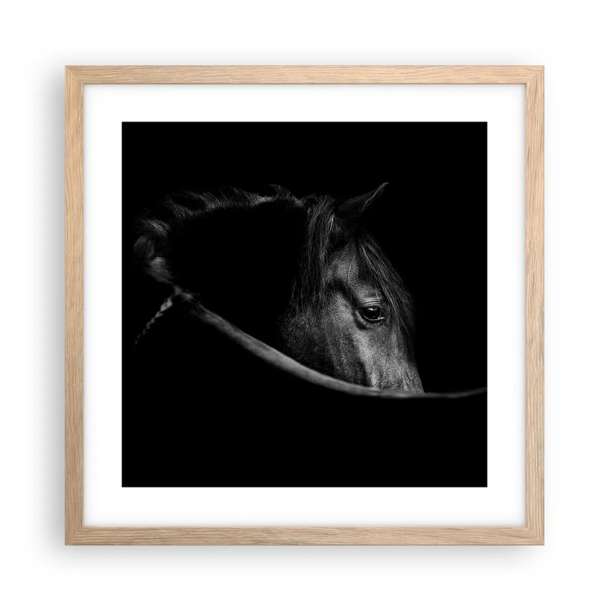 Plakat w ramie jasny dąb - Czarny książę - 40x40 cm