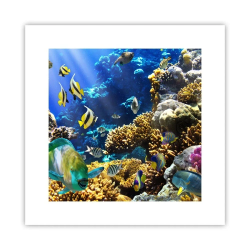 Plakat - Duży ruch na wakacyjnym szlaku - 30x30 cm