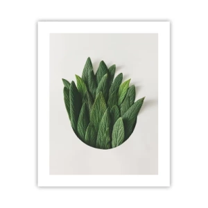 Plakat - Nieposkromiona ciekawość - 40x50 cm